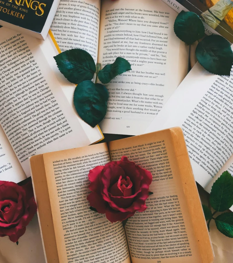 Sant Jordi 2025:  Barcelone fête les livres et les roses