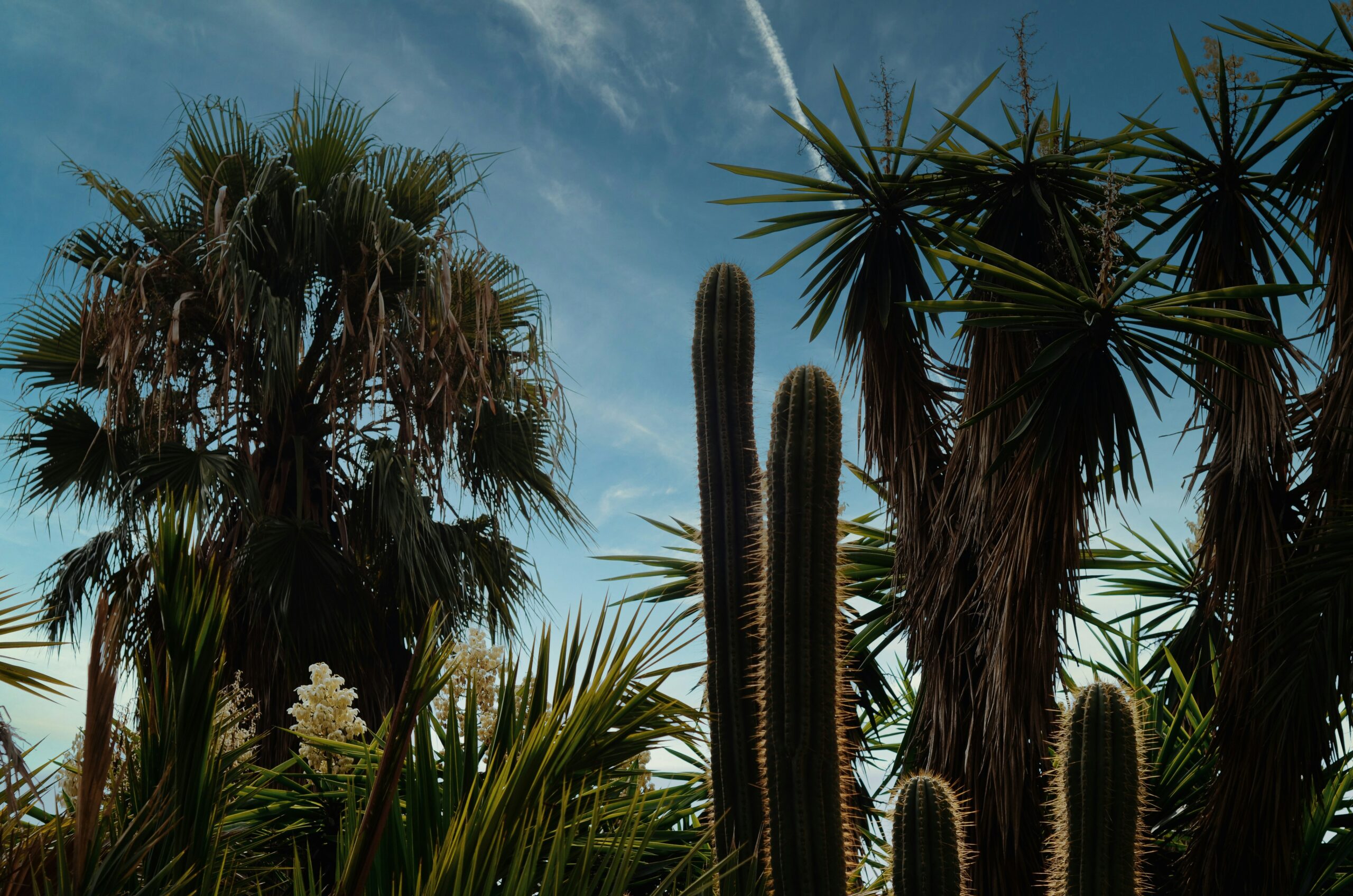 Barcelona Hidden Garden