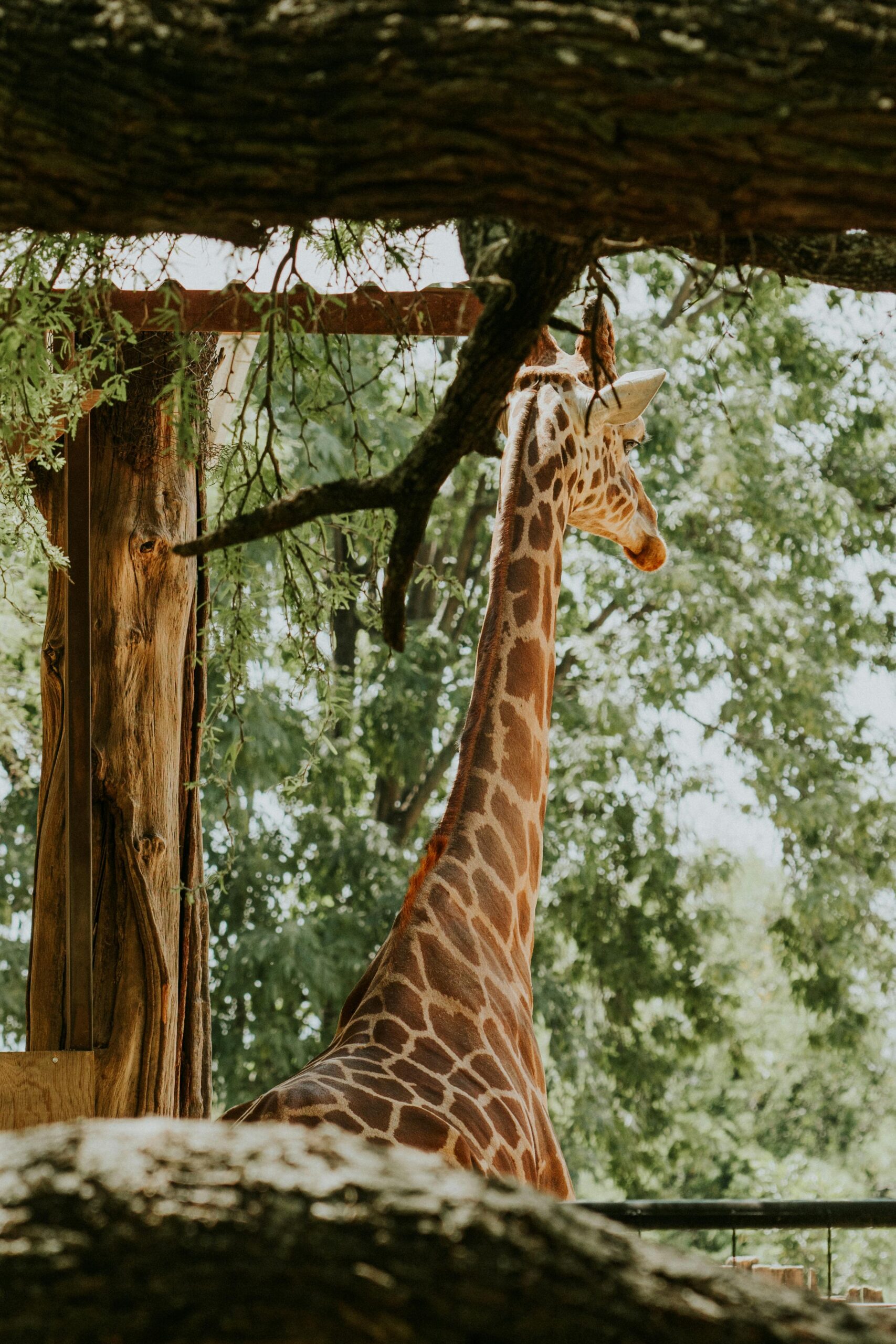 Barcelona Zoo