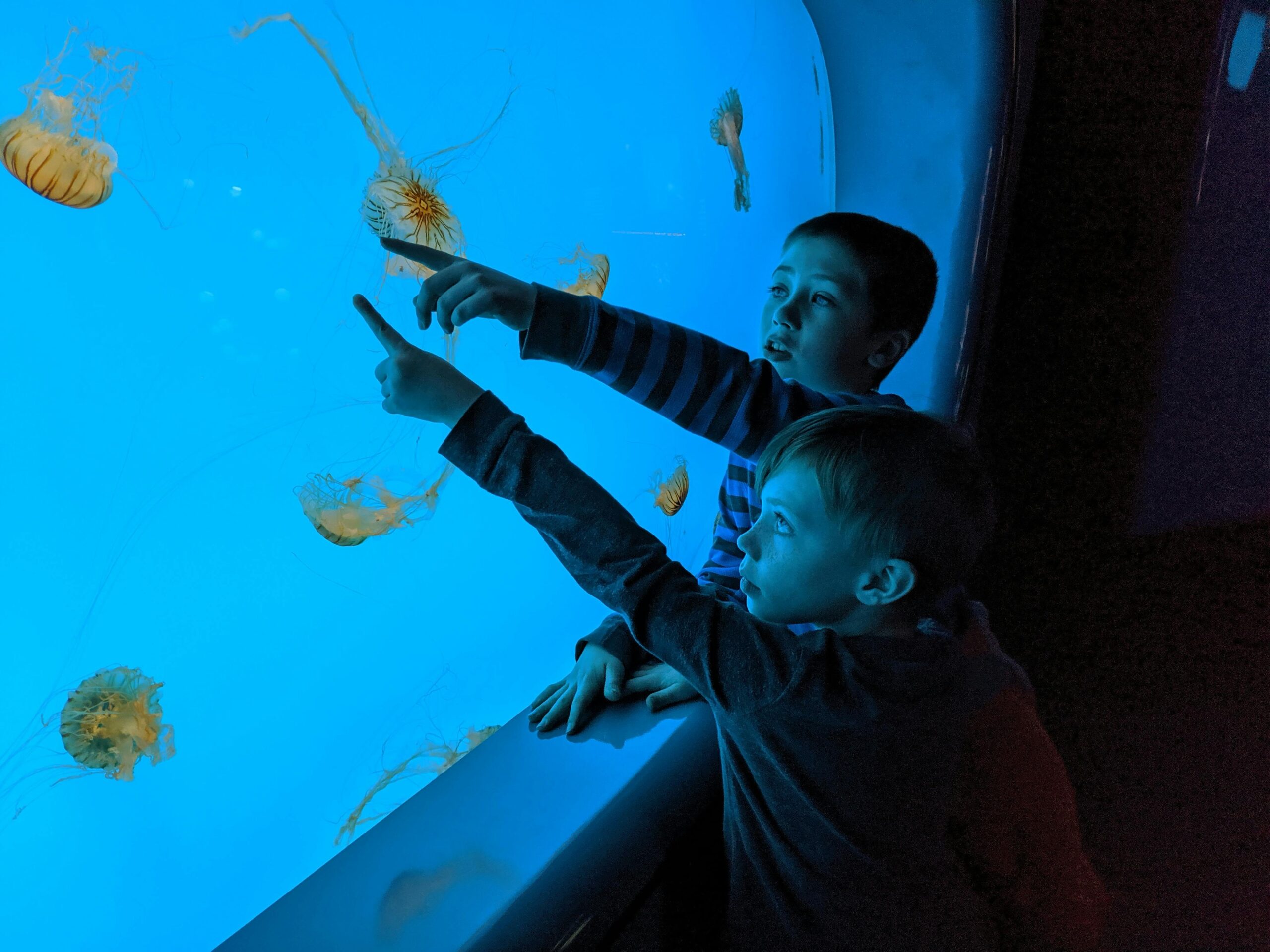 Barcelona Aquarium