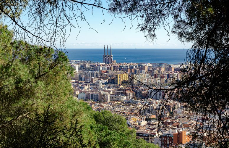 Barcelona Activities with Kids