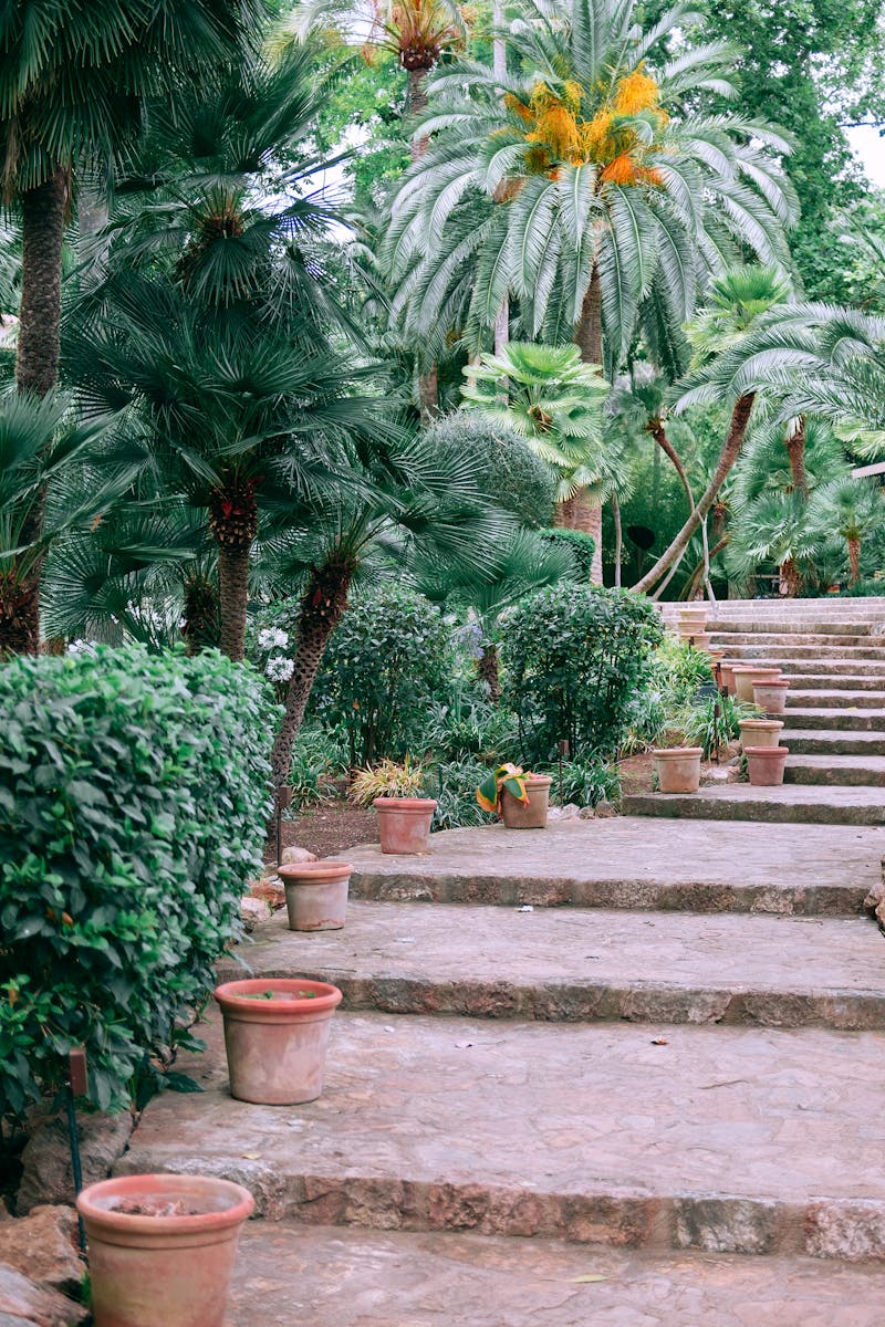 Barcelona botanical garden