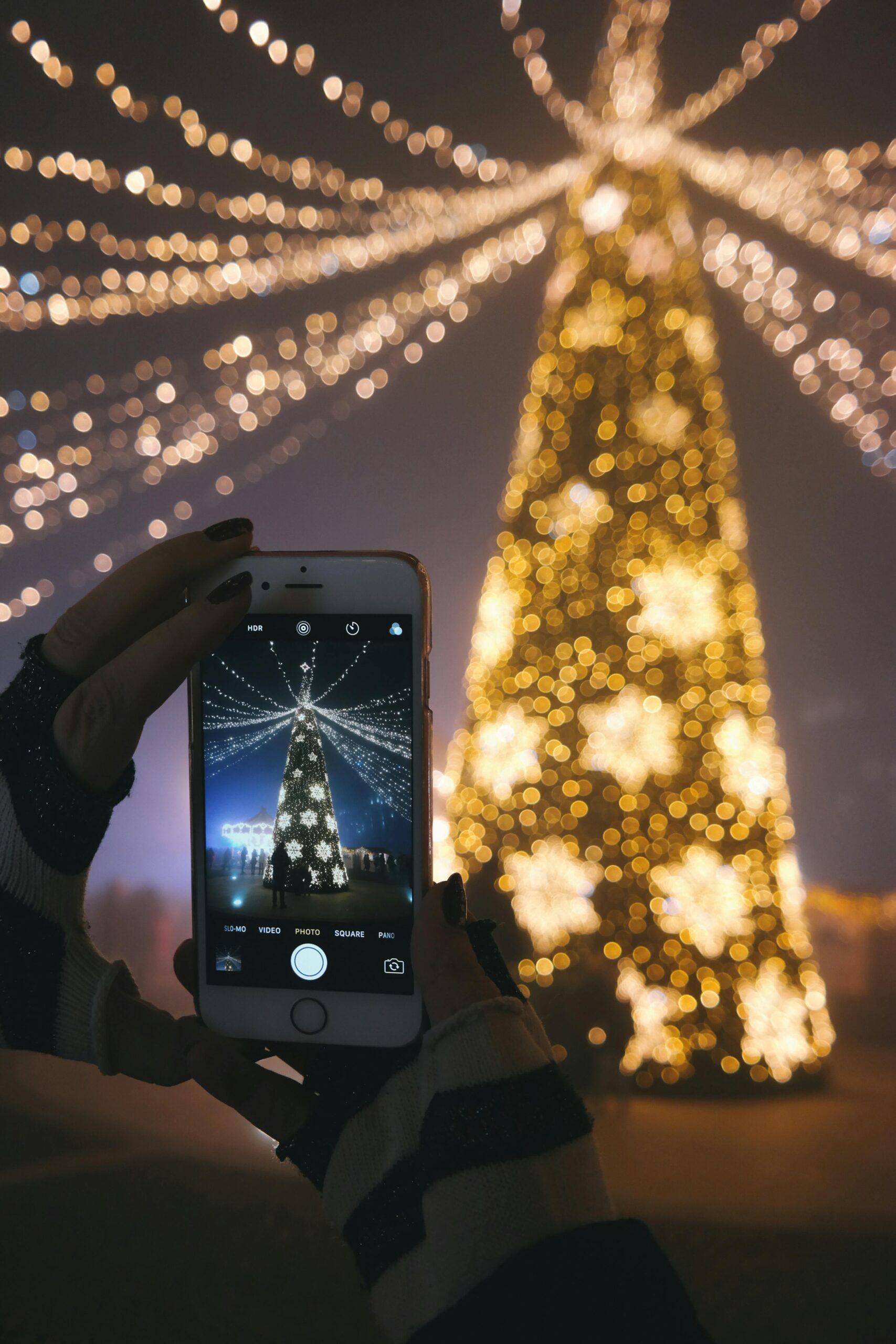 Gratis Persona Que Toma La Fotografía Del árbol Iluminado De Oro Foto de stock