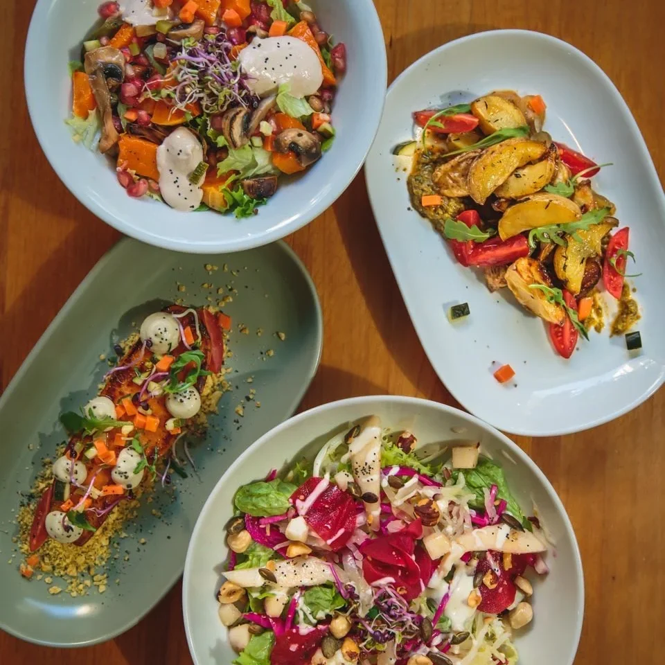 A vibrant selection of healthy salads with fresh greens, nuts, roasted vegetables, and creamy dressings, presented on stylish ceramic plates.