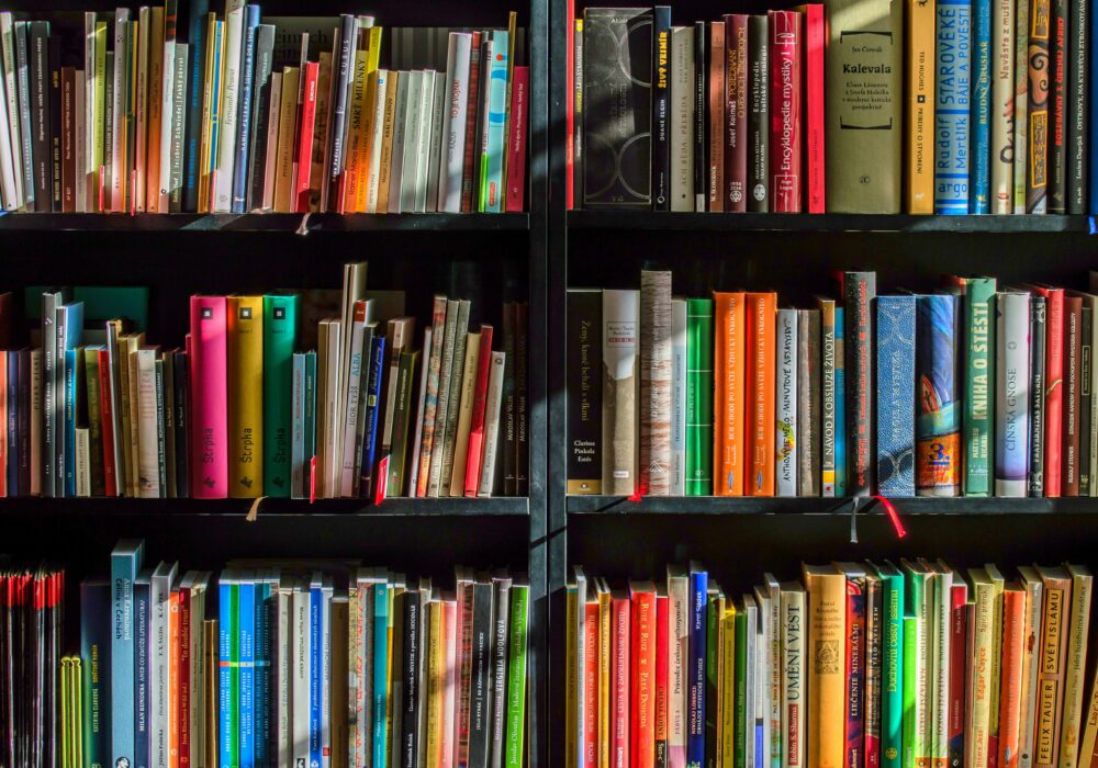 Barcelona For Book Lovers: Best Bookstore Spots