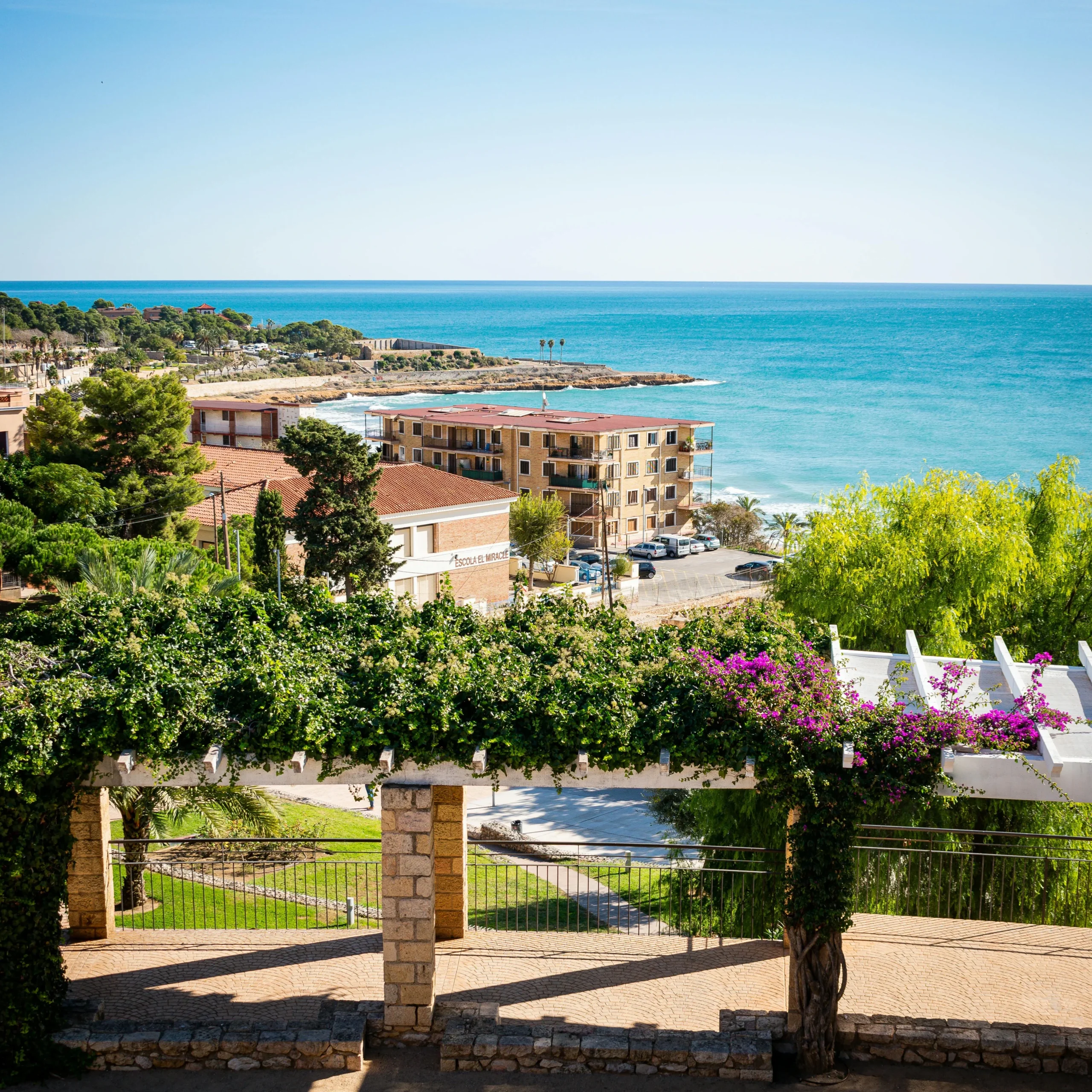 A beautiful coastal view overlooking the sparkling blue sea, with a scenic pathway lined by lush greenery and vibrant bougainvillea flowers. In the distance, modern buildings sit along the shoreline, completing the idyllic landscape under a bright and clear sky.