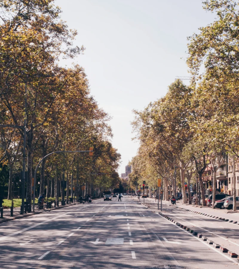 Raisons pour lesquelles septembre est le mois parfait pour visiter Barcelone