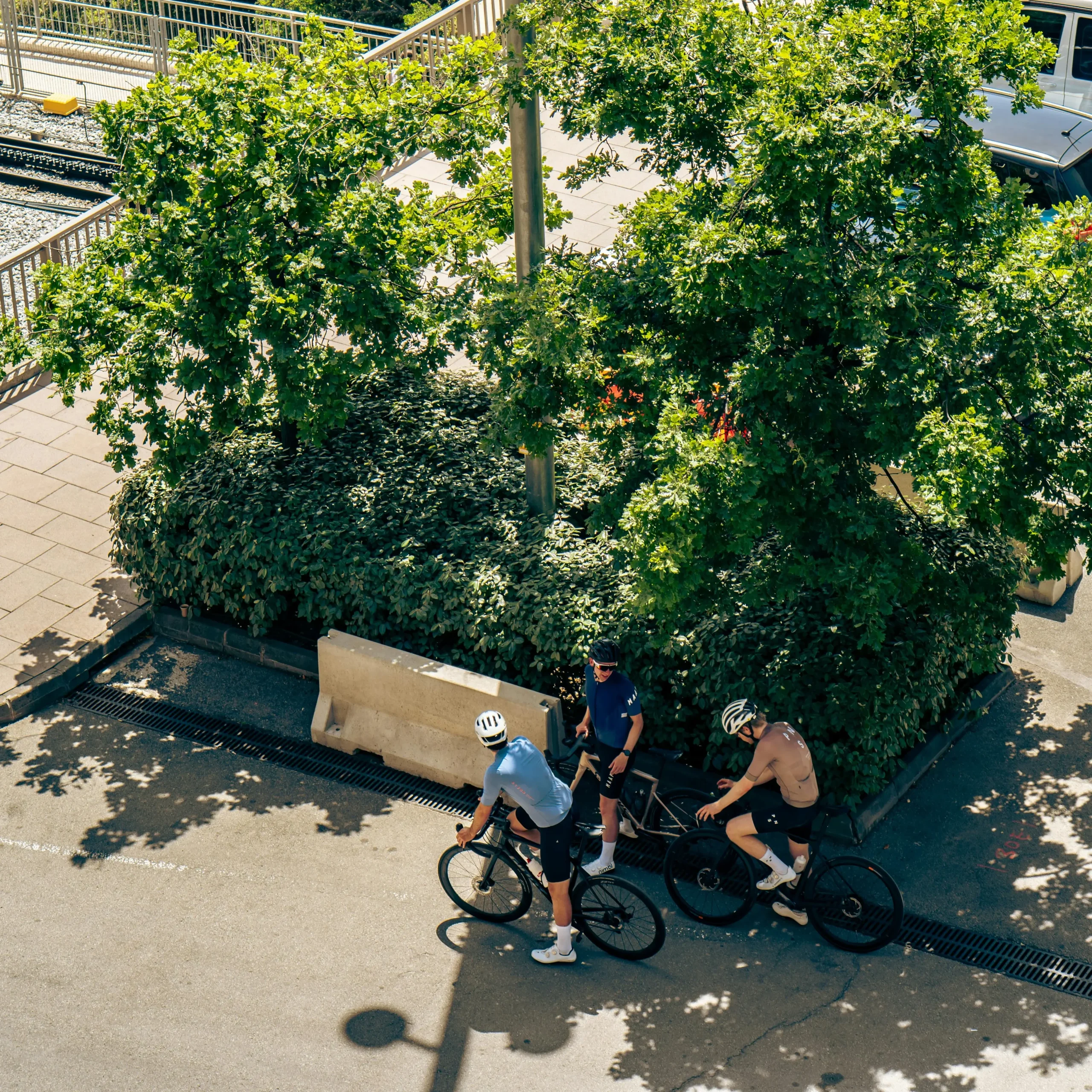 Cyclists stopped under a tree while people take photos from a viewpoint overlooking a green landscape.