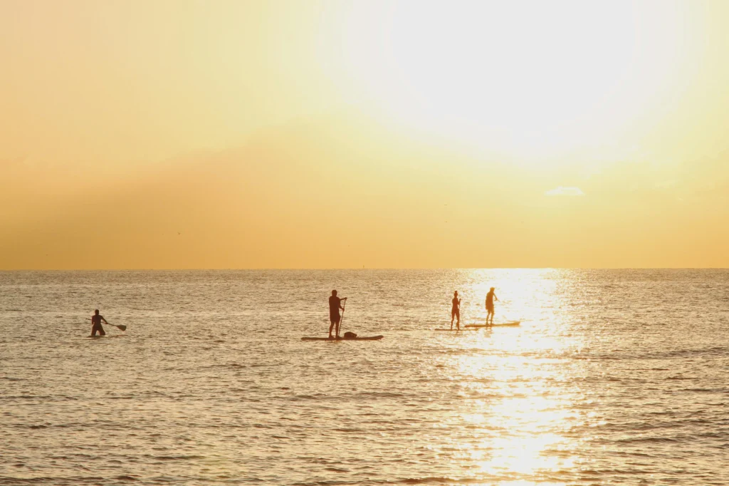 People paddleboarding on the sea during a golden sunset.