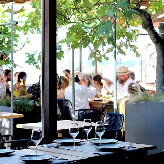 View from inside a restaurant looking out onto a leafy terrace where people are enjoying a sunny lunch under the trees, with set tables in the foreground.