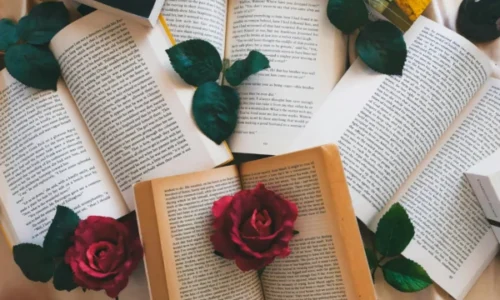 La Diada de Sant Jordi : la fête du livre et des roses à Barcelone 2026