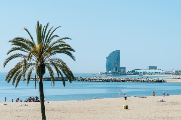 Discover Barceloneta: the Best Things to See, Eat and Enjoy