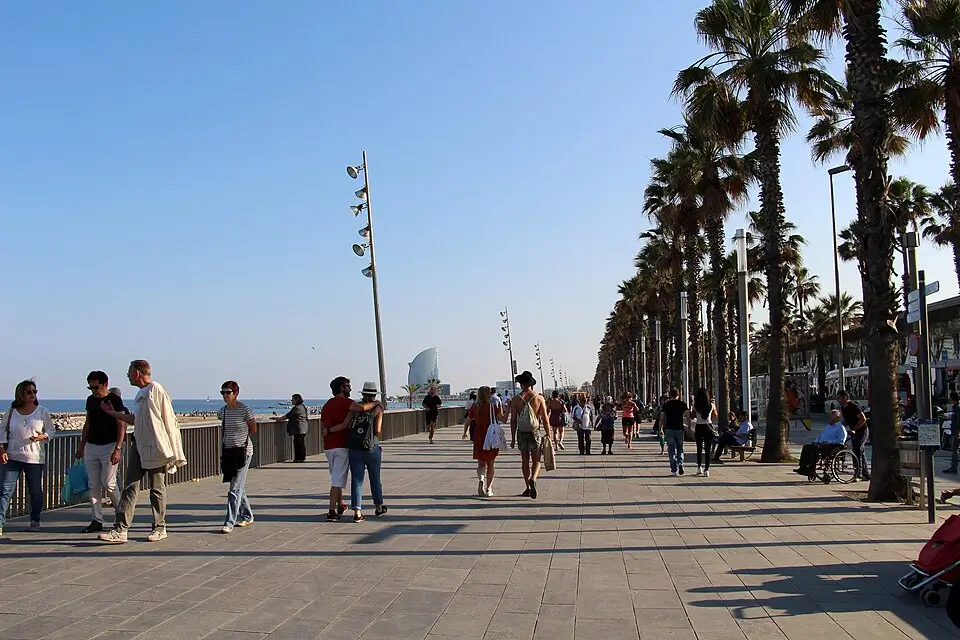 Personas paseando por el Passeig Marítim de la Barceloneta en Barcelona, rodeado de palmeras y junto a la playa, con vistas al Hotel W y al mar Mediterráneo al fondo.