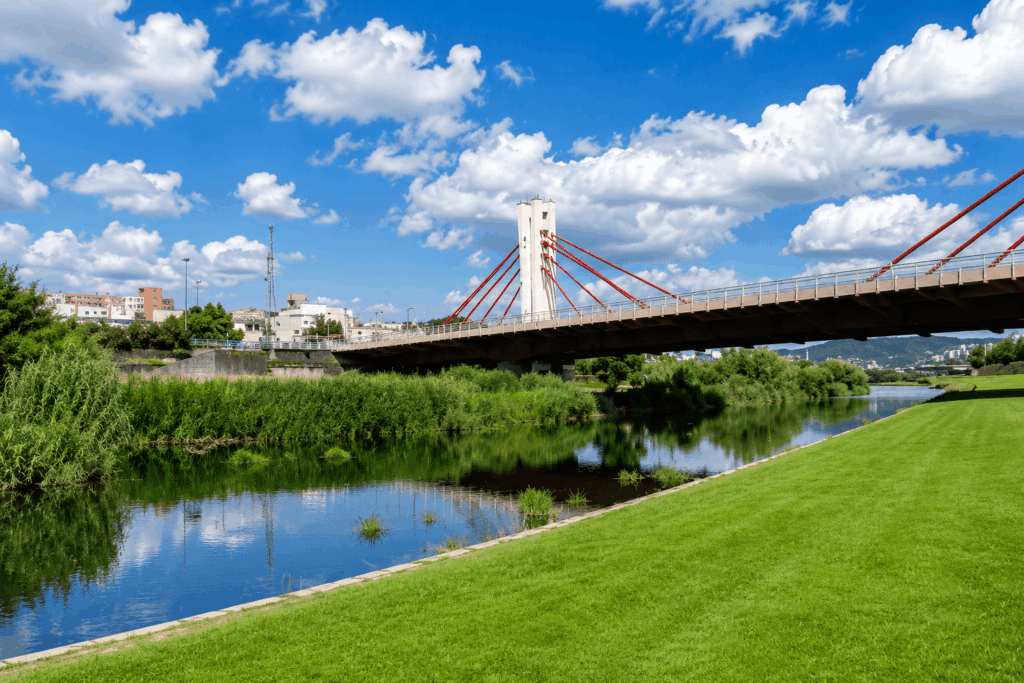 Besòs river and bridge.