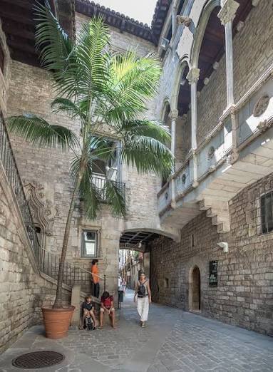 patio del Museo Picasso con una palmera