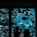 Guida completa di Barcellona con i bambini