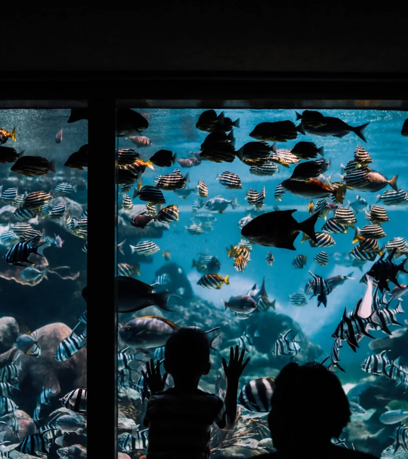 A Complete Guide to Barcelona with Kids